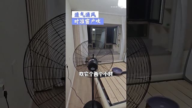 不踩甲醛坑！这个方法超高效除甲醛，你们快拿去！#巴赛夫果冻 #除甲醛  #测评