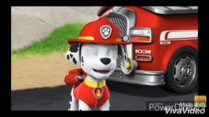 🐾Chase and Marshall friends🐾🐾 Гонщик и Маршалл друзья 🐾