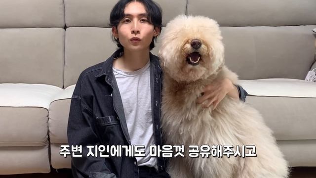 강아지랑 영화관가서 영화보고 오기