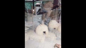 Воронеж зоопарк
