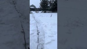 Поиск воды на участке с георадаром