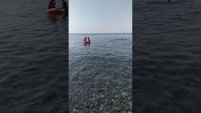 Прозрачное теплое море, штиль. Пляж Сукко - 10 утра 22.08.2023г.