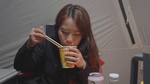 테슬라 모델3와 도킹 텐트로 차박 캠핑 | 삼겹살 + 육개장 | 에르젠 트래블 쉘터 | 파세코 선셋