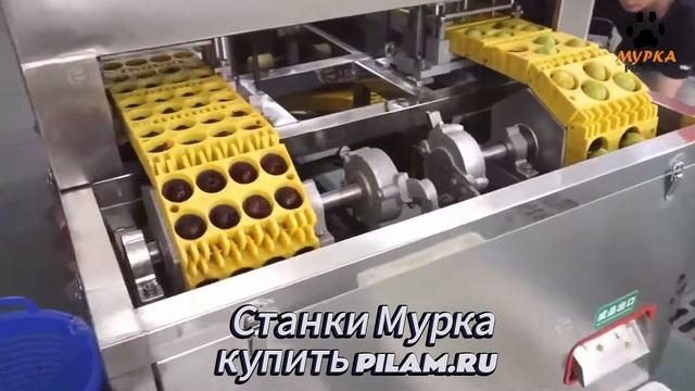 Мурка станок для удаления сердцевины фруктов и ягод  pilam.ru
