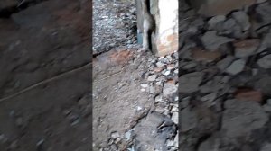 Коктейль Молотова