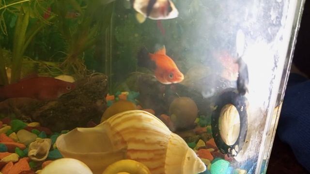 ЖИЗНЬ ПОД ВОДОЙ Ч.1 смотреть онлайн