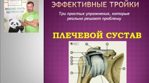 Эффективные тройки - Плечевой сустав