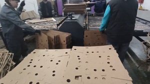 Пресс валковый плоскопрокатный MPD. Высечка лотка из листового гофрокартона на плоской штанцформе