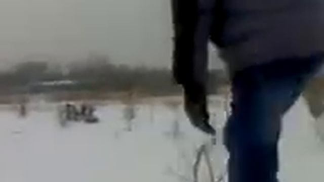 Сайгак)))