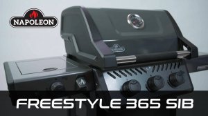 Обзор на газовый гриль Napoleon Freestyle 365 SIB