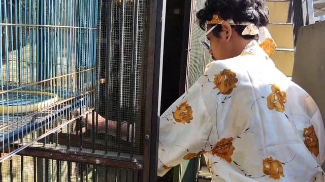 MAKANAN KESUKAAN SOA LAYAR/HYDROSAURUS,SANGAT RAKUS смотреть онлайн