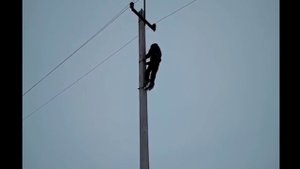 У тебя руки длинные, падла