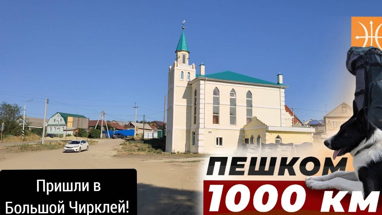 Самара - Москва.1080 км пешком с собакой. серия 20