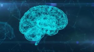 ESTAS 10 PLANTAS VALEN ORO! - Documental Completo en Español