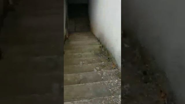 Прогулка вокруг дома 17 корпус 6 по улице Крылова в Анапе. Дом под управлением УК "Дом Ком Сервис"