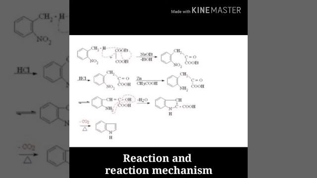 Reissert Synthesis of indole Prepared by,(Roll no -224) смотреть онлайн