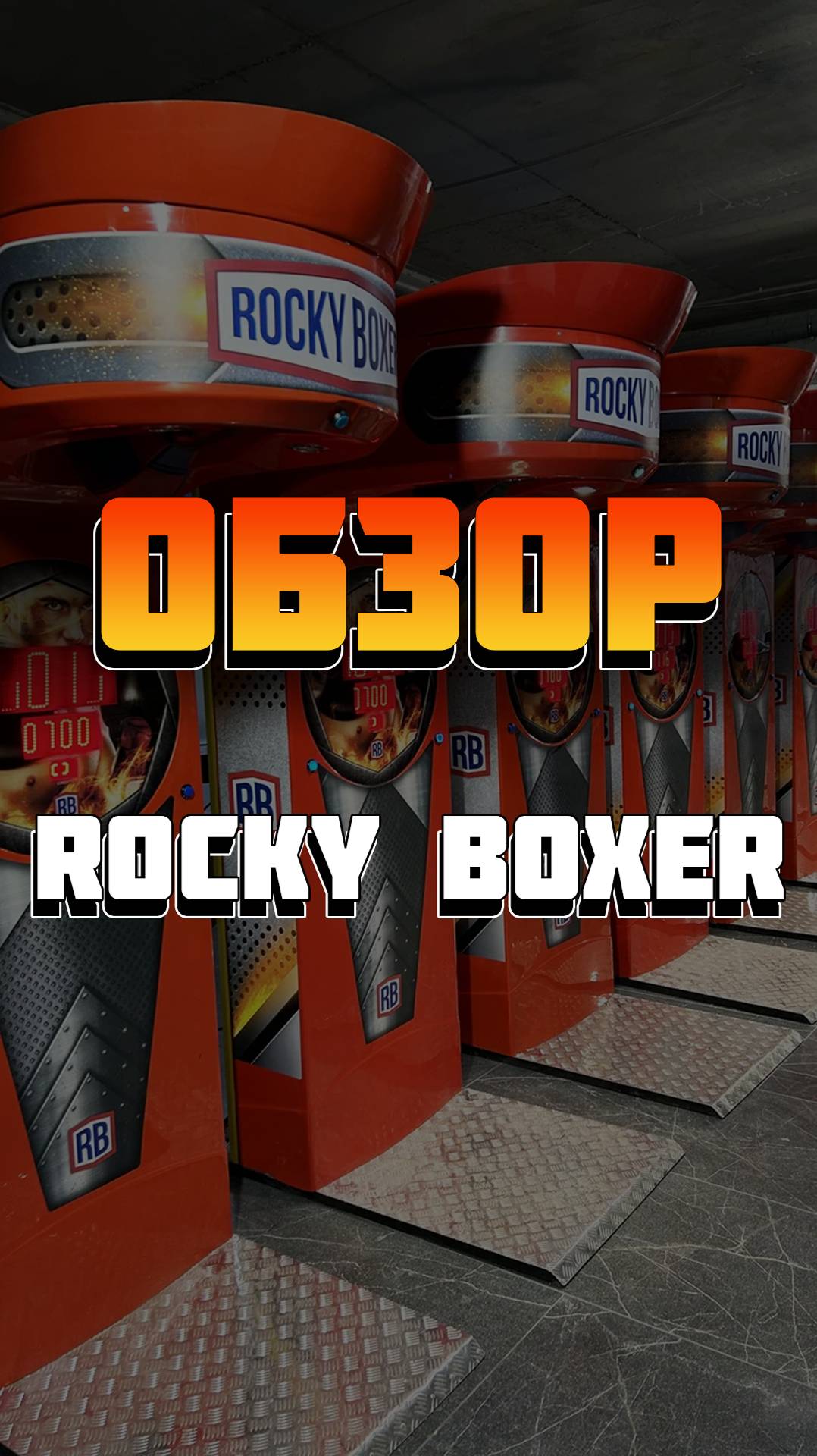 Силомер боксер Rocky Boxer (обзор)