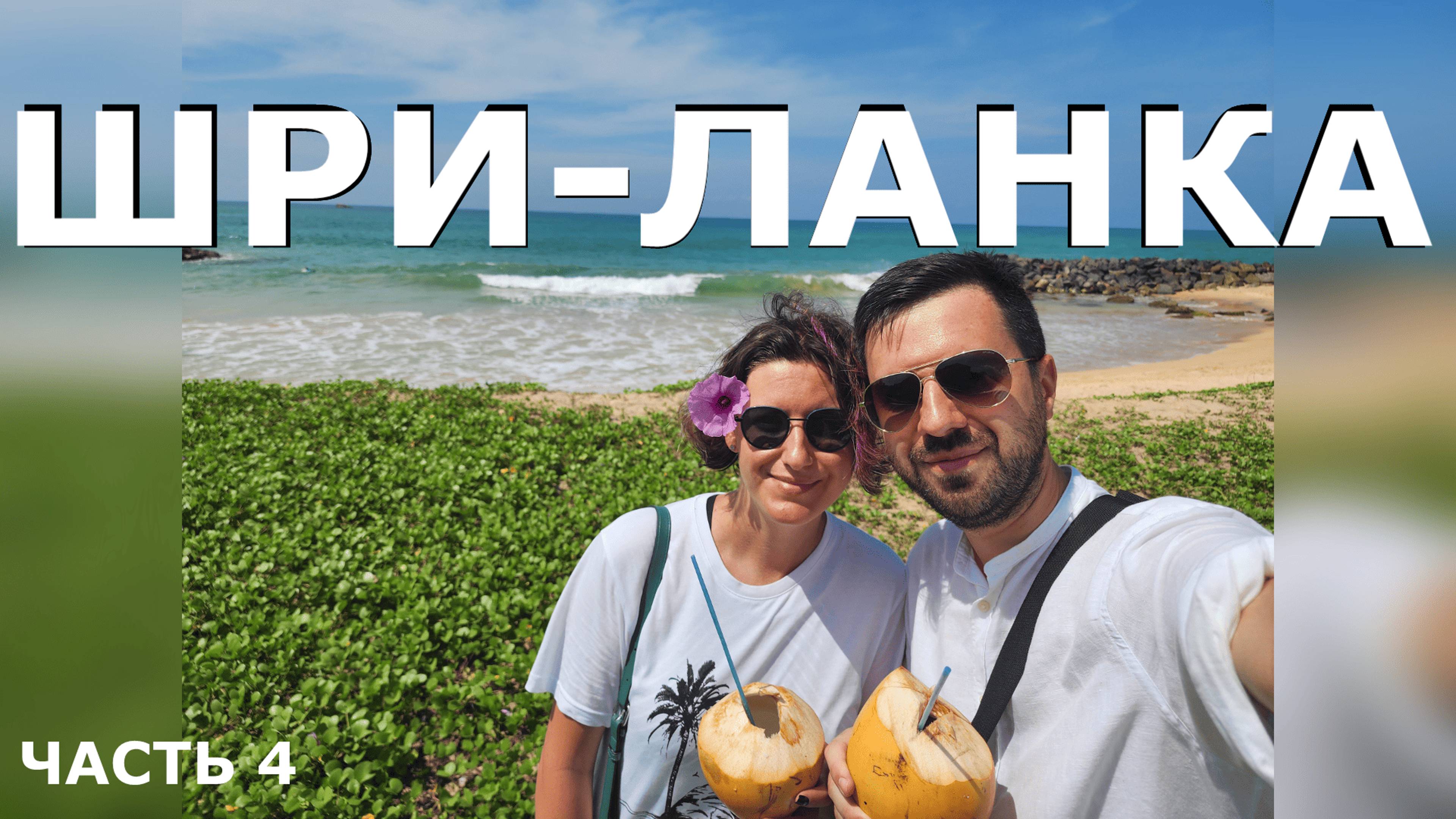Шри-Ланка, часть 4. При чем тут лейтенант Коломбо? Слоны, черепахи и серферы