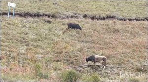 КЧР Джилы-Су водопады долина Нарзанов