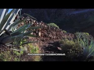 "Уязвимость". 4 августа. Мелоди Битти. Ежедневник для созависимых.