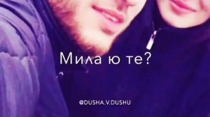 Чеченская песня 2017 Къовсар ву хьо❤