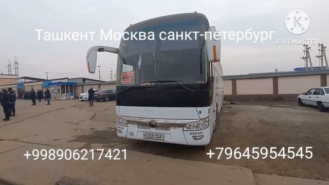 ташкент-москва автобус узбекистан-россия автобус