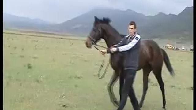 Скачки в Буйнакске 9 05 11г