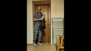 петля Глиссона