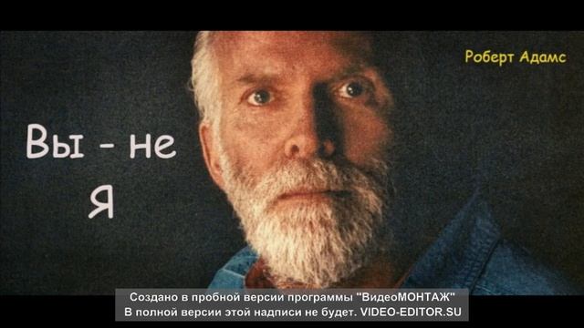 Рождения НЕТ ! Это один из первых сатсангов Роберта Адамса. смотреть онлайн