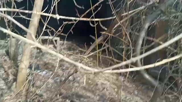 иду 2-ю заброшенный дом смотреть онлайн