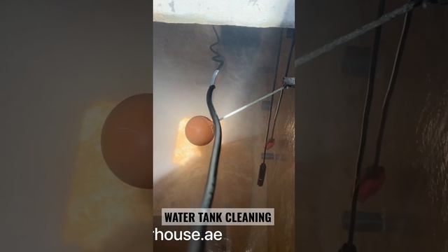 WATER TANK CLEANING SERVICES || PROFESSIONAL PLUMBING SOLUTION || #watertank #cleaning #dubai #uae смотреть онлайн
