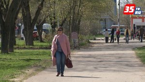 Череповчане могут высказаться об экологической ситуации в городе, стране и мире