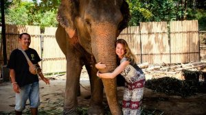 Ферма слонов Kokchang Safari на Пхукете в Таиланде. Знакомство с умным слоном – восторг и умиление