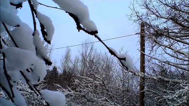 9. Чистота Восприятия.