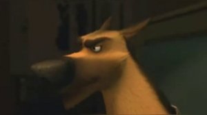 Белка и Казбек невеста