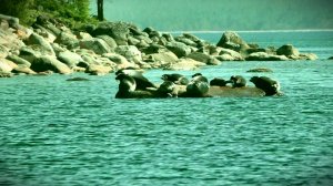 ОМУЛЬ И ЩУКА СЕВЕРНОГО БАЙКАЛА. РЫБАЛКА В ЖИВОПИСНЫХ МЕСТАХ ВЕЛИКОГО ОЗЕРА!