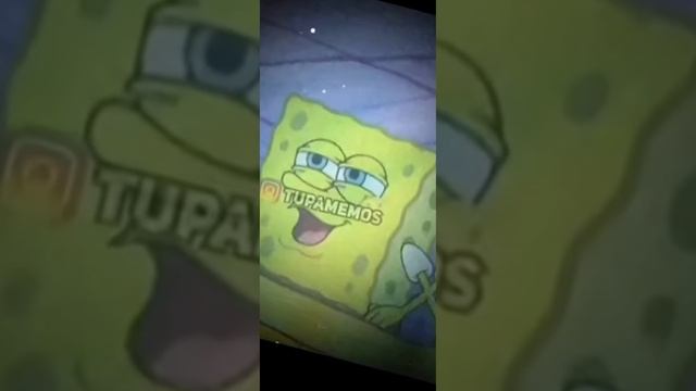 Спанч боб эдит