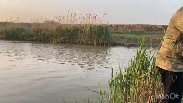 Рыбалка на Сазана. Ночная рыбалка на сазана. Юзбаш. Дагестан смотреть онлайн