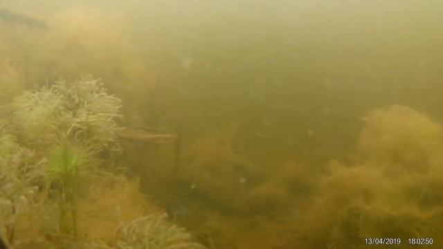 Речка Чаплинка Eken h9r под водой смотреть онлайн