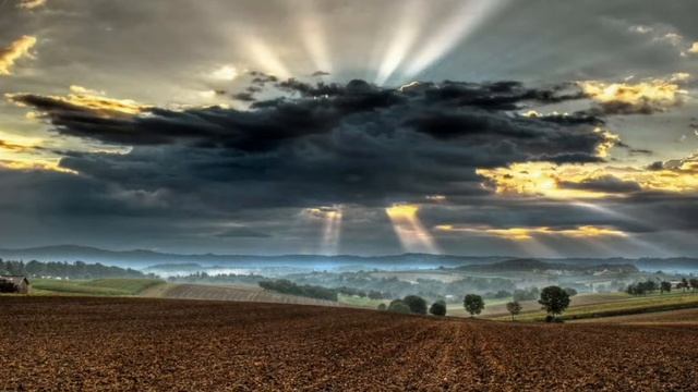 Феликс Зигельбаум - " Вода и соль". Создано: 2017-й год. смотреть онлайн