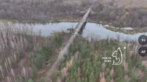 ДРГ ВС РФ беспрепятственно зашла в два села Черниговской области Украины