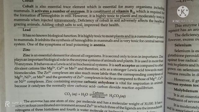 lect-2 || Bioinorganic chem смотреть онлайн