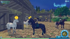 Покупка белоснежного ФРИЗА в игре Star Stable Online | Светло-серый Спортивный Фриз