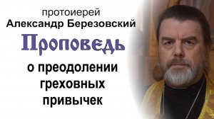 Проповедь о преодолении греховных привычек (2024.11.15). Протоиерей Александр Березовский