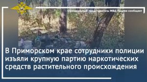 В Приморском крае сотрудники полиции изъяли крупную партию наркотических средств