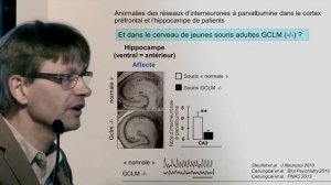 SGlutamate, neuroinflammation, stress oxydatif au coeur de la schizophrenie?  P. Steullet