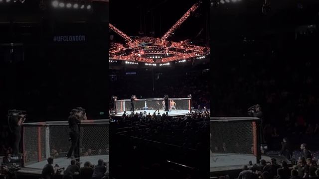 Muhammad Mokaev UFC Debut full fight at London O2 Arena 19/3/22 смотреть онлайн