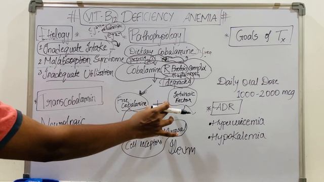 VITAMIN B12 deficiency смотреть онлайн