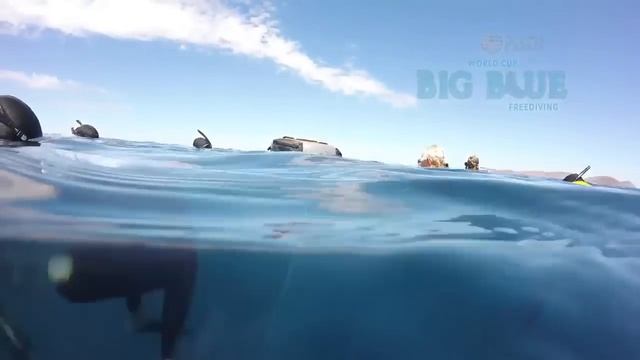 Big Blue The Thrill of the Dive смотреть онлайн