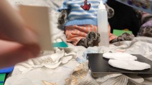 кружок поделок для басиков.  Новогодние поделки